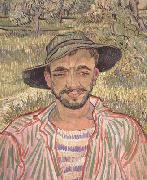 Portrait of a Young Peasant (nn04) Vincent Van Gogh